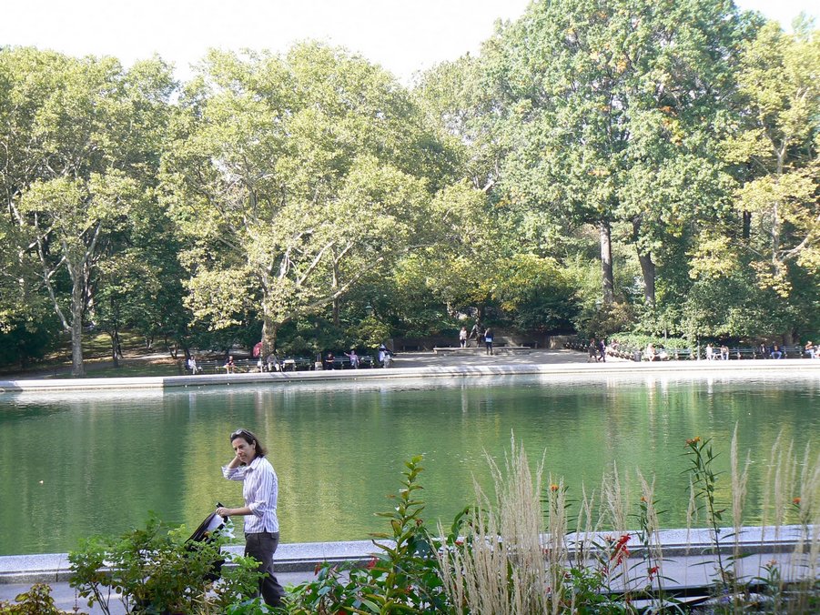 Central Park: Central Park 177